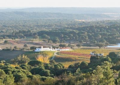 Herdade Anta de Cima_home_1